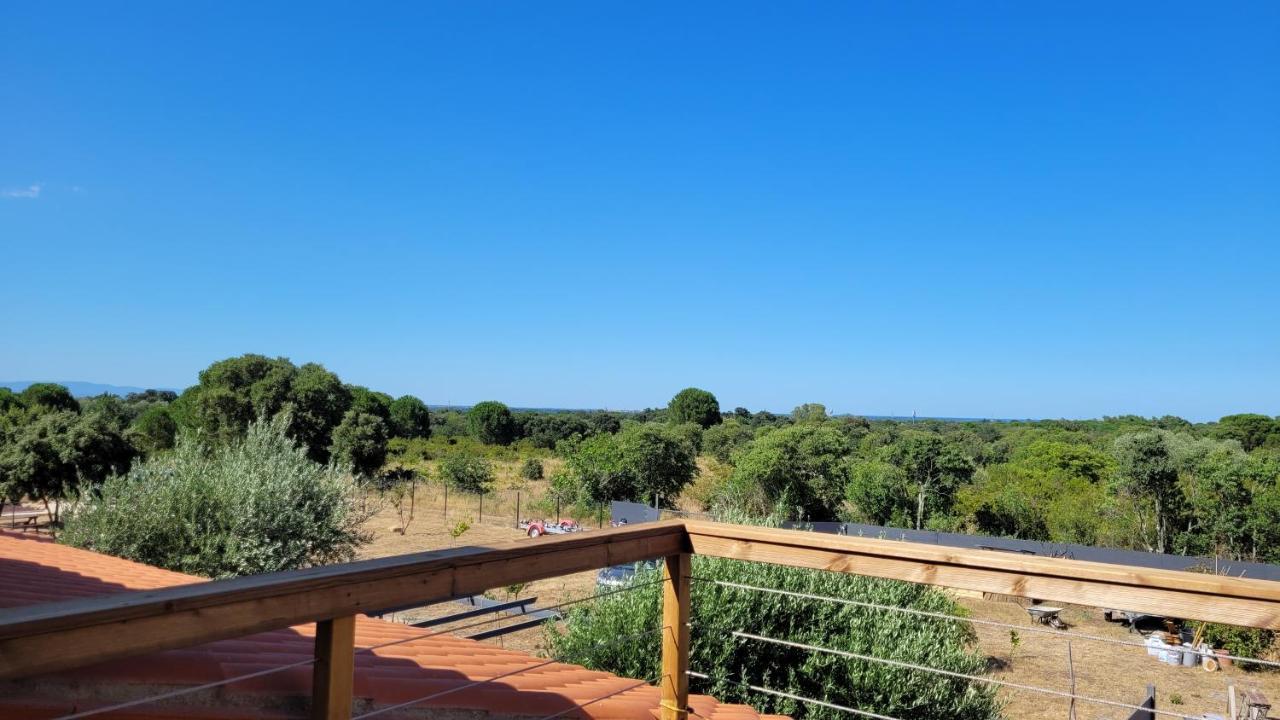 Gîte Du Soleil Maison lumineuse avec terrasse solarium parking privé Sorède Esterno foto